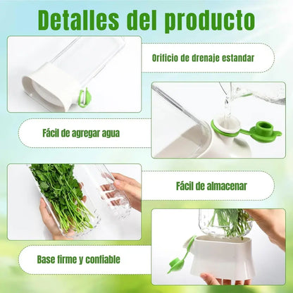 Conservador de hierbas frescas Greenlife™