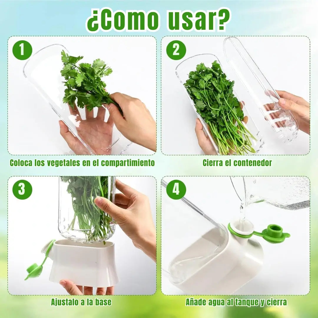 Conservador de hierbas frescas Greenlife™