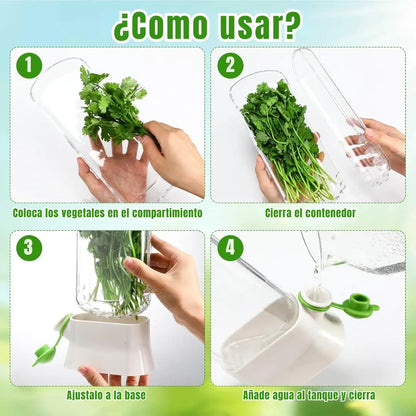 Conservador de hierbas frescas Greenlife™